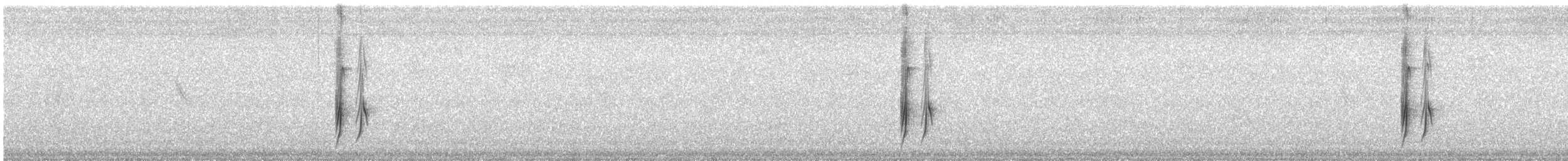 Streaked Flycatcher - ML645384885