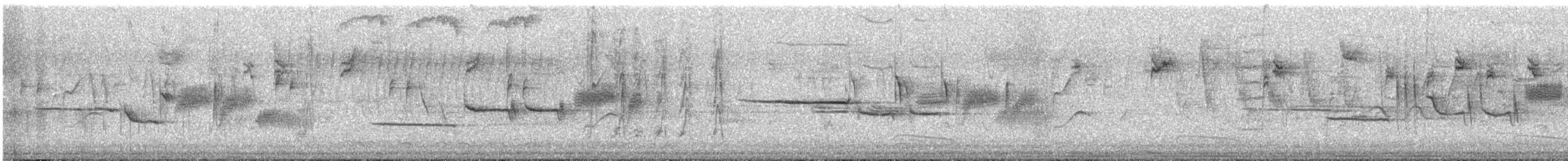 White-crowned Sparrow - ML645385397