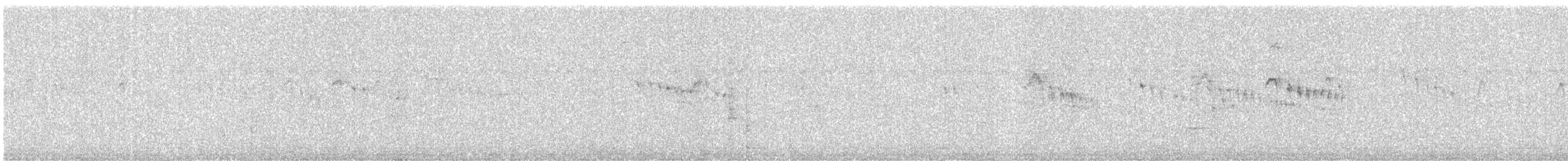 Little Swift - ML645385402