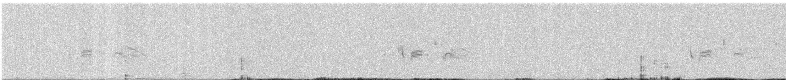 Ashy Prinia - ML645385426