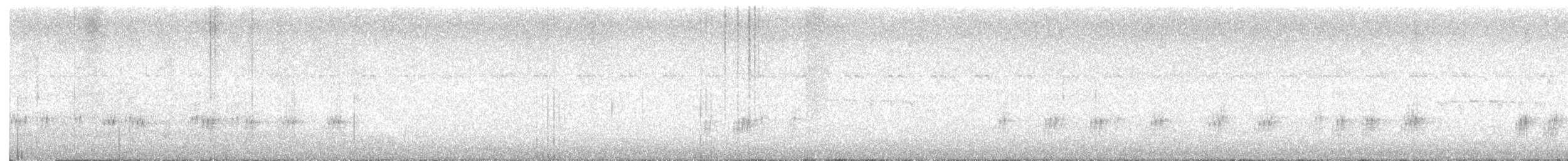 Taiwansäbler - ML645385483