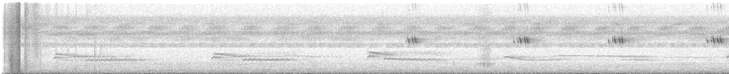 Schwarzmilan (Schmarotzermilan) - ML645385680