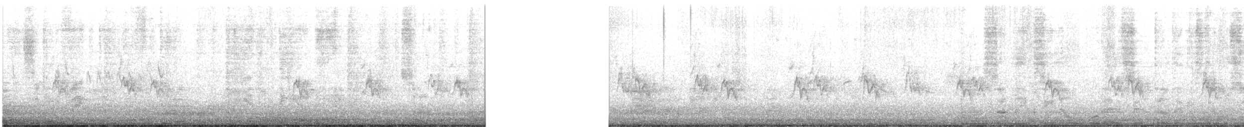 Haussperling - ML645385712