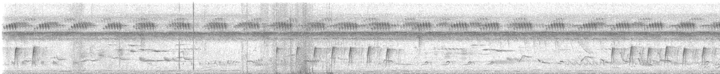 Grünmantel-Bogenflügel [brevicaudata-Gruppe] - ML645385715