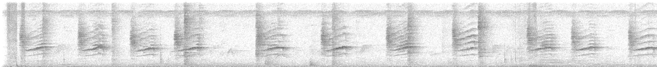 Grünmantel-Bogenflügel [brevicaudata-Gruppe] - ML645385717