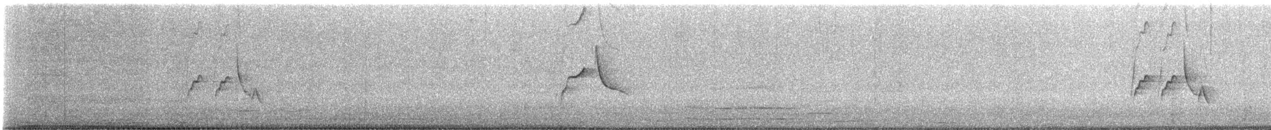 Witwenstelze - ML645385960