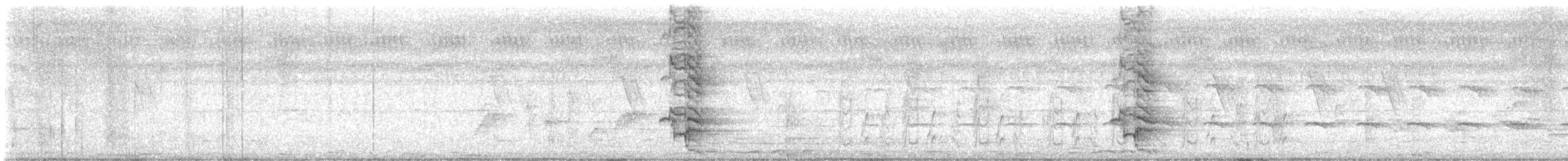 Prachtglanzstar - ML645385987