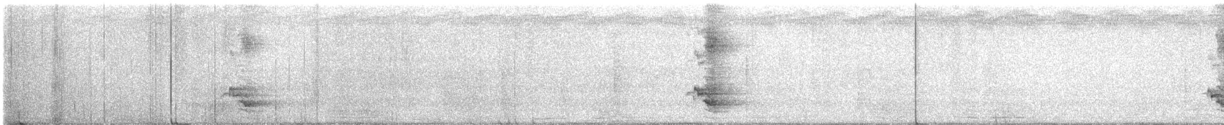 Prachtglanzstar - ML645385988