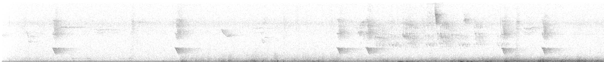 Black-chested Jay - ML645386302