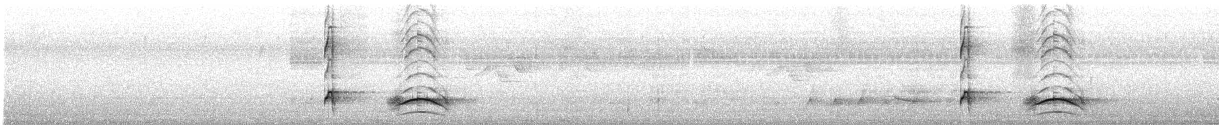 Common Squirrel-Cuckoo - ML645386640