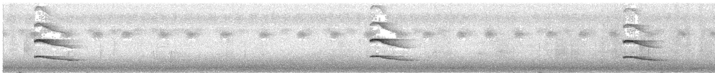 African Gray Hornbill - ML645386968