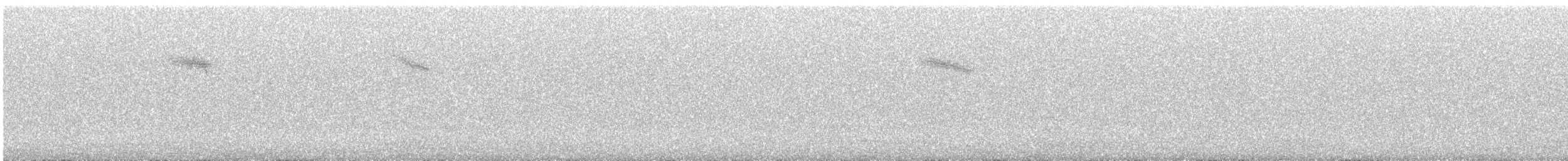 Белобровик - ML645387482