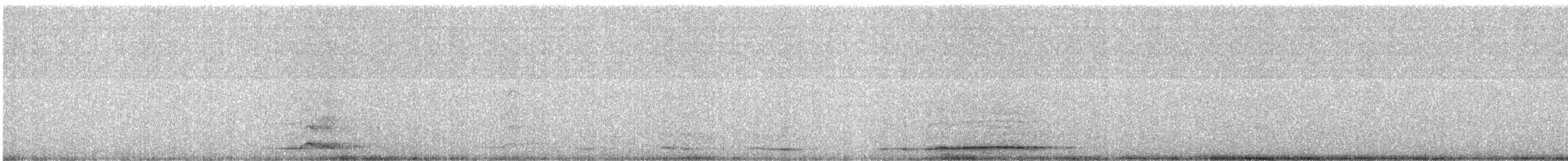 Chouette hulotte - ML645391515