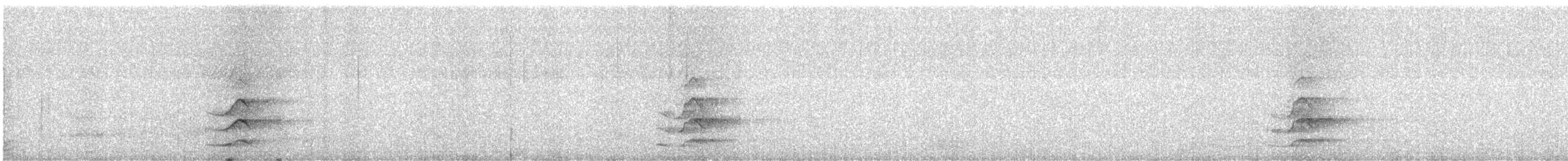 Chouette hulotte - ML645391526