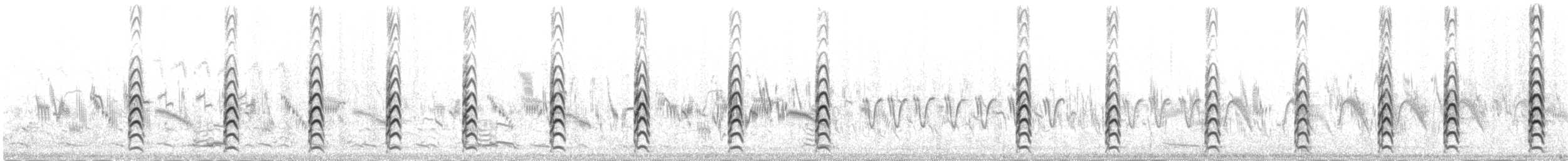 高蹺鴴 - ML645391656