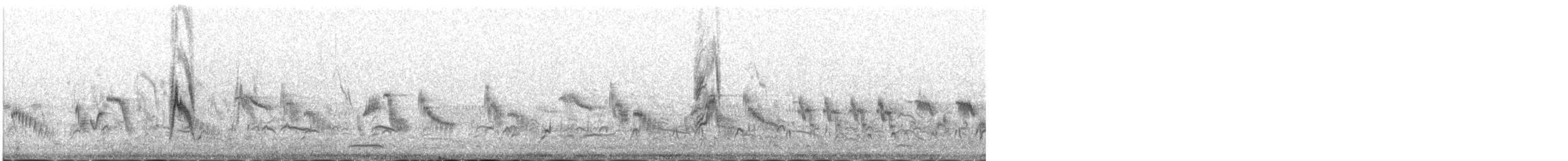 Richard's Pipit - ML645392427