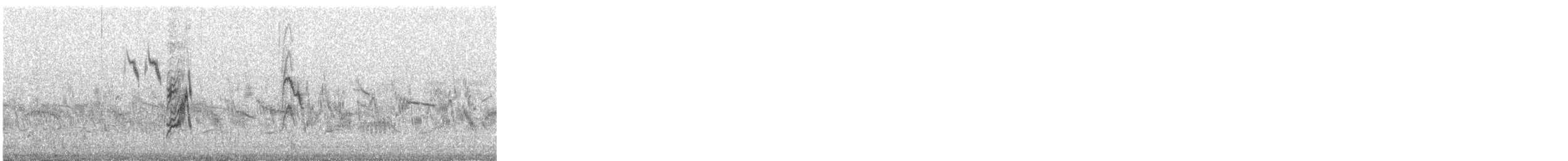 Richard's Pipit - ML645392428