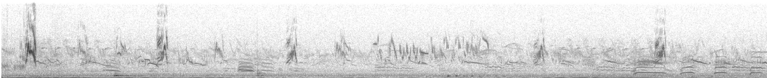 Richard's Pipit - ML645392429