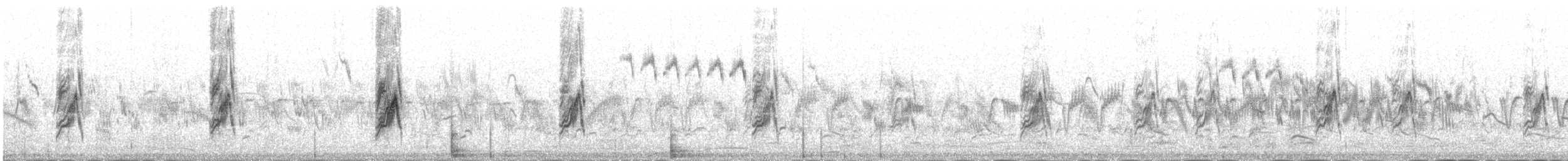 Richard's Pipit - ML645392430