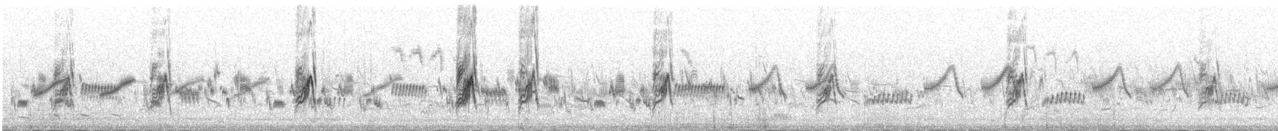 Richard's Pipit - ML645392431