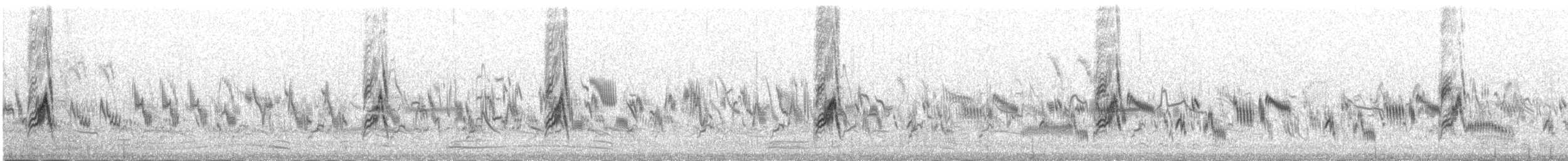 Richard's Pipit - ML645392432