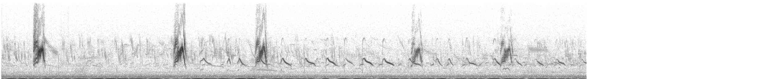 Richard's Pipit - ML645392433