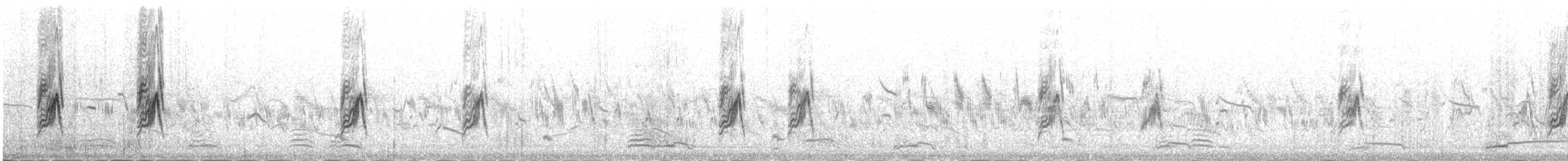 Richard's Pipit - ML645392435