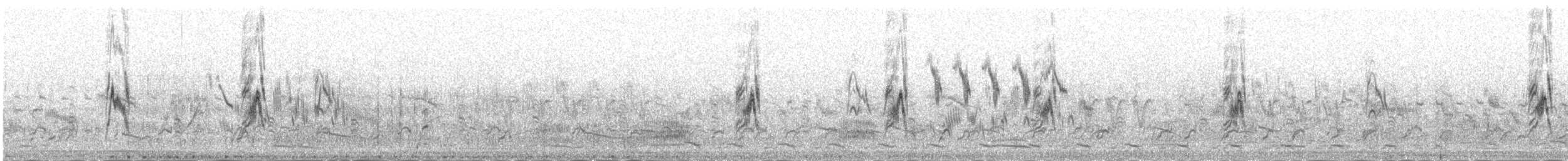 Richard's Pipit - ML645392436