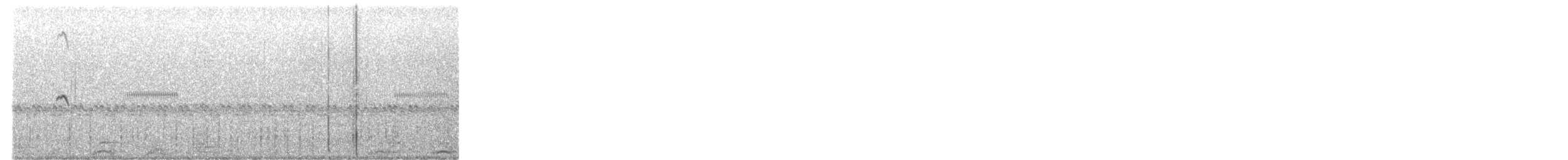 White-tailed Nightjar - ML645392621