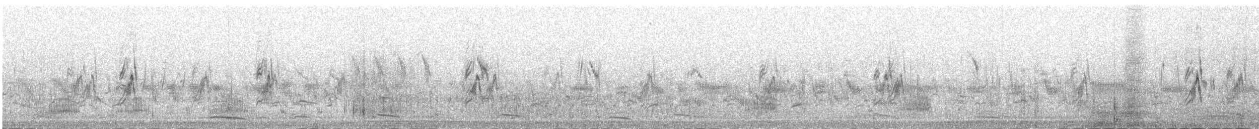 Richard's Pipit - ML645392719