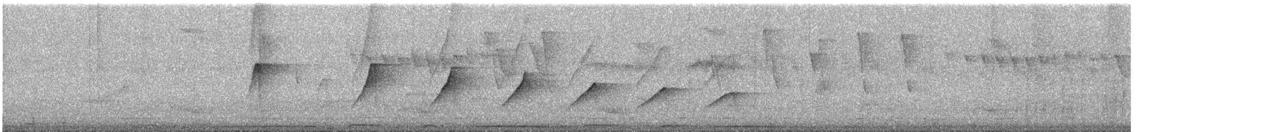 Olivaceous Woodcreeper - ML645392824