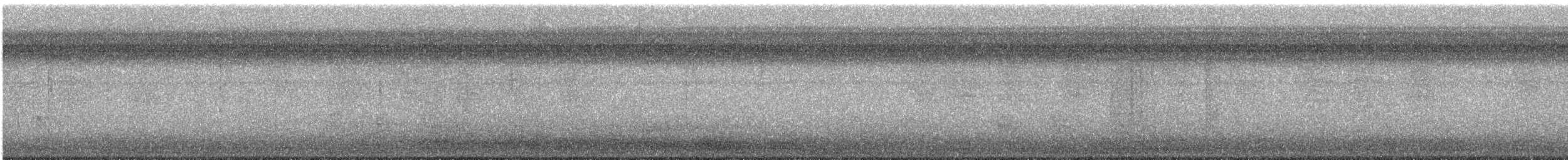 Black-throated Blue Warbler - ML645393663