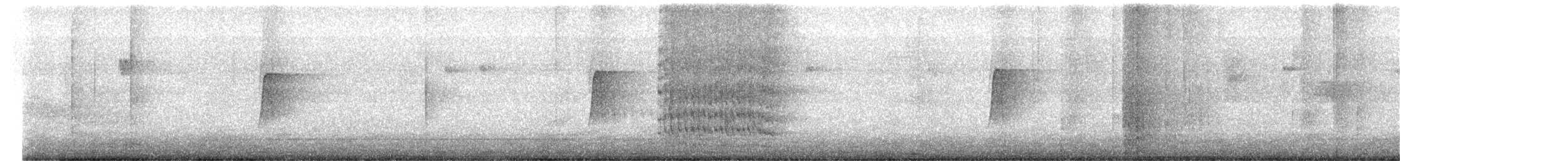 オオハシタイランチョウ - ML645394323