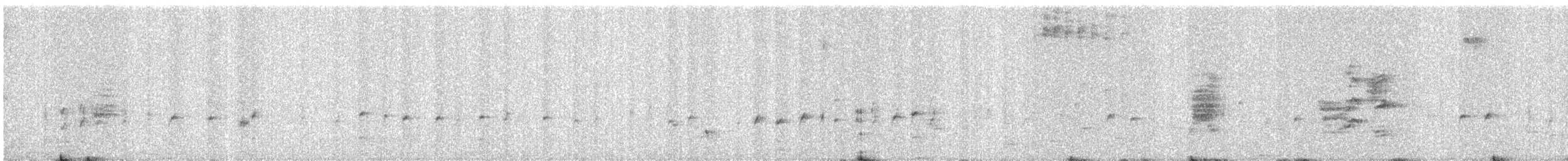 Kara Drongo - ML645394346