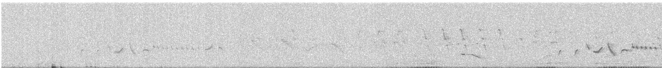 Yellow-eyed Babbler - ML645394450