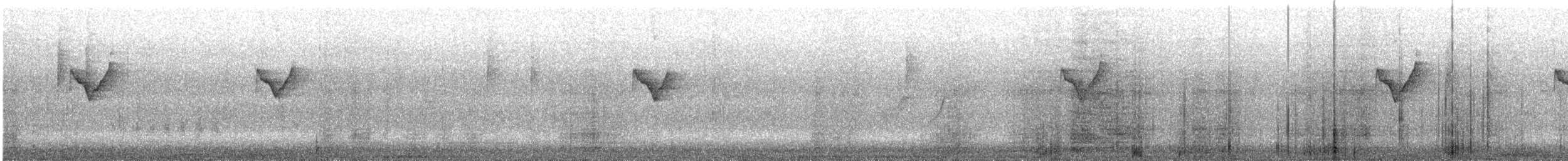 黃眉柳鶯 - ML645394453