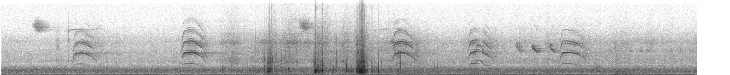 西方澤鵟 - ML645394560