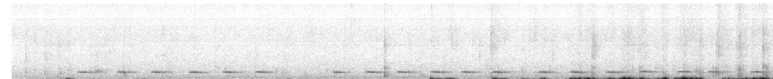 Unspotted Saw-whet Owl - ML645394871