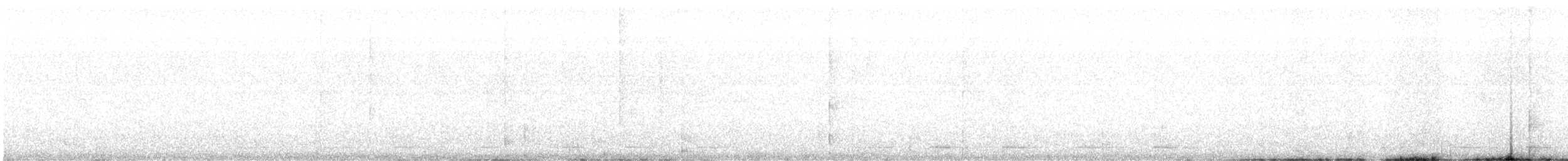 Unspotted Saw-whet Owl - ML645395012