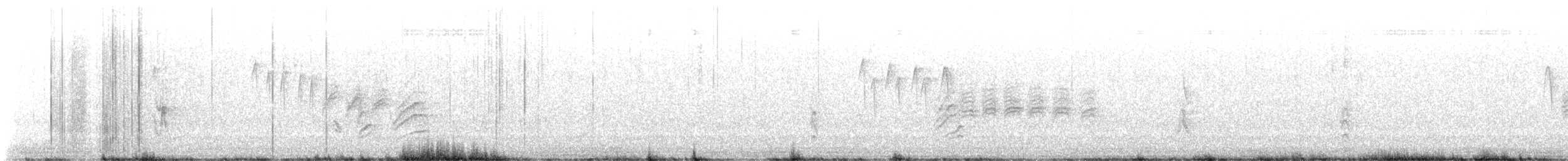 Hermit Thrush (faxoni/crymophilus) - ML645395050