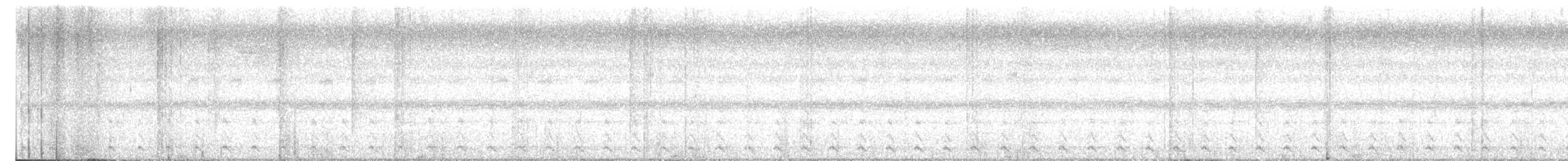 Cálao Coronado - ML645395177