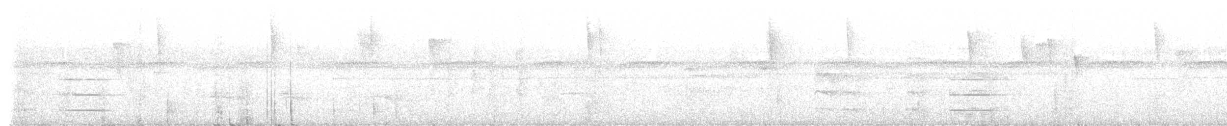 Club-winged Manakin - ML645395207