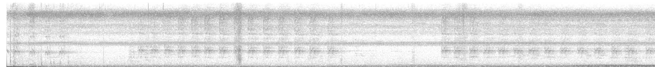 Cálao Coronado - ML645395218