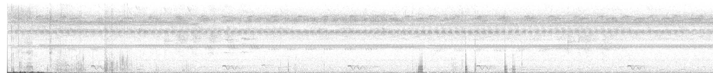 Maharadschanachtschwalbe - ML645395381