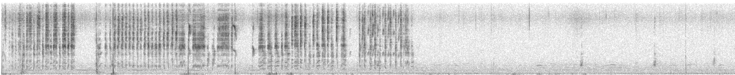 Marsh Wren - ML645396078