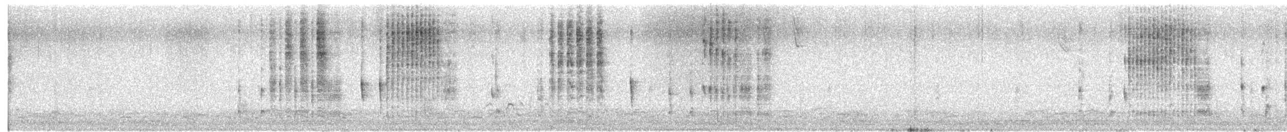 Marsh Wren - ML645396121