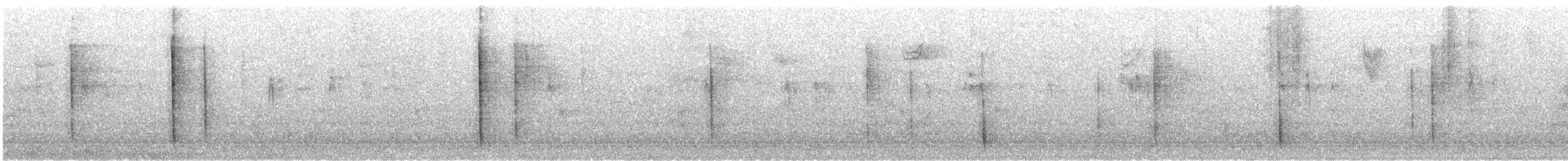 Brown Thrasher - ML645396258