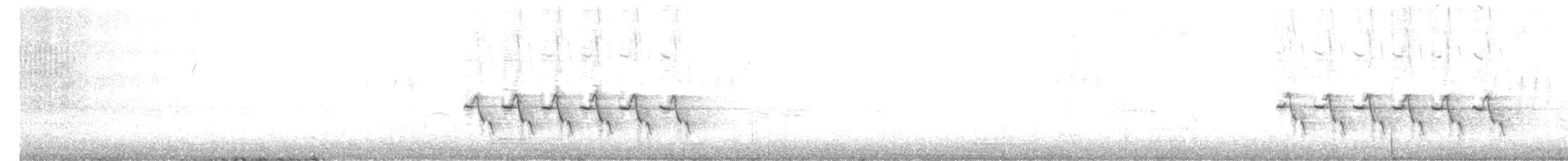 Carolina Wren - ML645397571