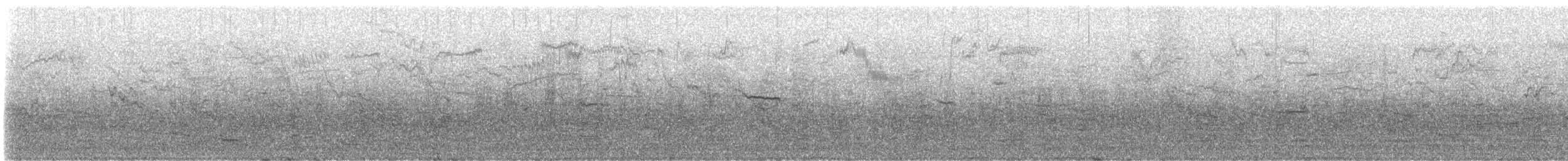 blackbird sp. - ML645397642