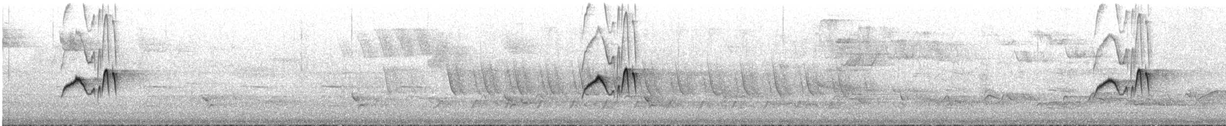 Eastern Phoebe - ML645398000